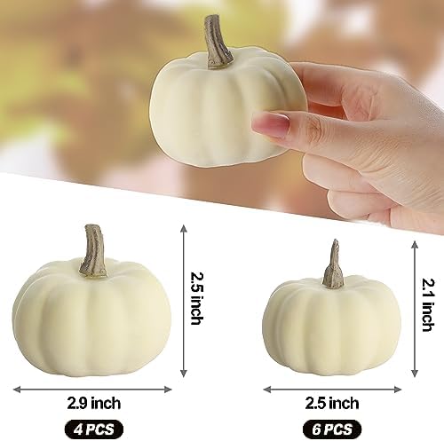 Artgar Pumpkin Decor - White Pumpkin - 10 PCS Mini Pumpkins Harvest Set