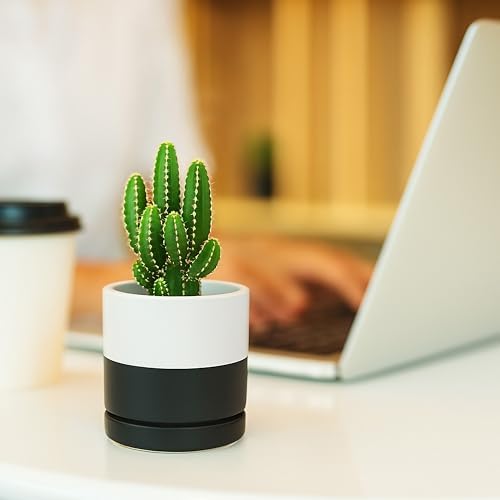 D'vine Dev 3.5 Inch Ceramic Planter Pot, Black White Two Tone, 94-O-A-L