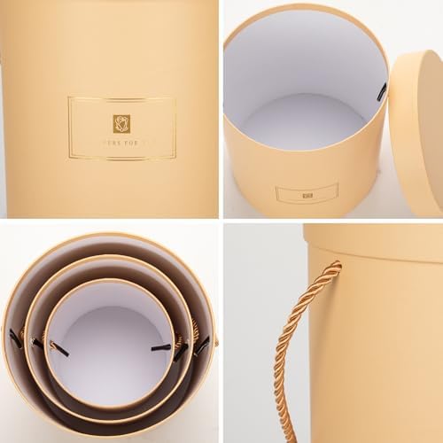 Hollyone Brown Gift Box with Lids Set of 3 Round Nesting Gift Boxes for Presents 3 Assorted Sizes Flowers Arrangements Box for Gift Giving Christmas Valentine Thanksgiving Mom Gifts Present Wrapping