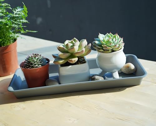 VUWEZ 6 Pack Rectangular Plastic Plant Tray Saucer, Gray, 6 x 11 Inch, Indoor/Outdoor, Durable & Water Resistant