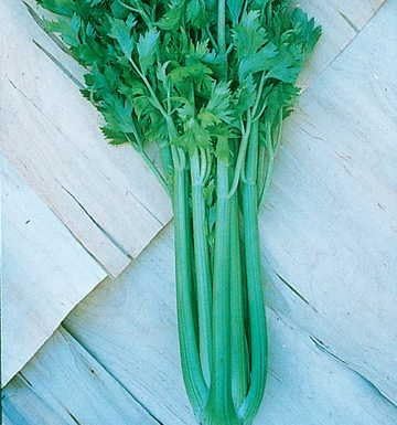 Park Seed Ultimate Vegetable Soup Seed Collection – Non-GMO Heirloom Garden Kit with Onion, Carrot, Celery, Roma Tomato