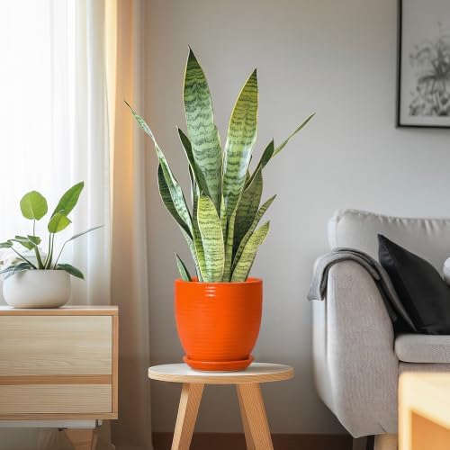 6 Inch Ceramic Plant Pots with Drainage Hole and Saucer, Orange
