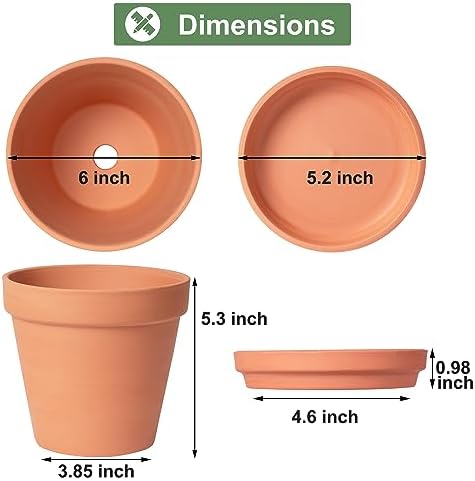 Orceler 6 inch Terracotta & Clay Pots for Plants with Saucer, Medium Terra Cotta Plant Pots with Drainage Hole, Flowerpot with Tray, Terracotta Pot for Indoor Outdoor Plant - Pack of 4 Planters