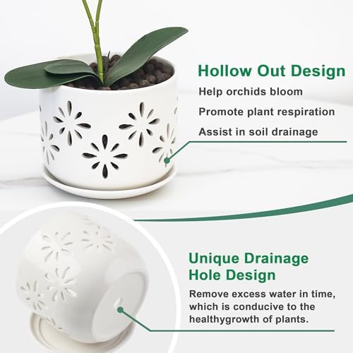 EFISPSS Orchid Pot 5+6 Inch, Ceramic Orchid Pots with Holes, Enhance Good Ventilation and Drainage, Orchid Pots Indoor/Outdoor Plants or Repotting -White