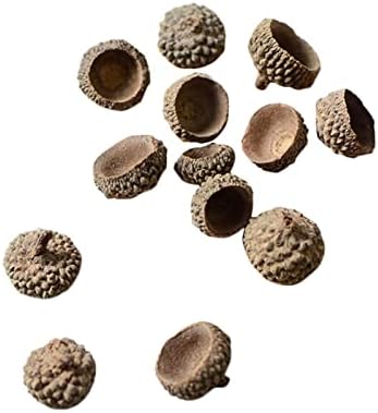 SM SunniMix 100x Natural Acorns Real Rustic Acorns Caps Decorative Vase Fillers Home DIY Thanksgiving Christmas Kitchen Autumn Table Scatter Photo Props Decors - Natural Acorn Caps