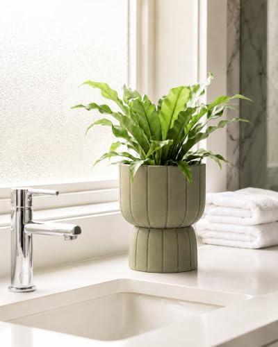 Self Watering Pots for Indoor Plants, 6 Inch Ceramic African Violet Pot