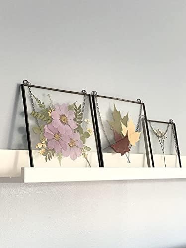 Glass Frame for Pressed Flowers, Leaf and Artwork - 8x8 Black Hanging Square Metal Picture Frames, Clear Double Glass Floating Frame, Wall Decor Photo Display, Set of 2 Flower Press Frames with Chain