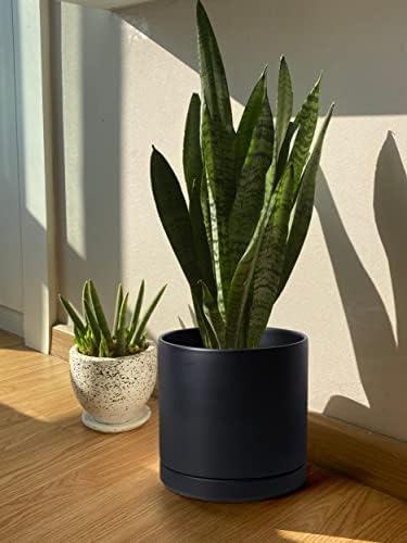 D'vine Dev 12 Inch Ceramic Planter Pot, Black, 94-O-F-2
