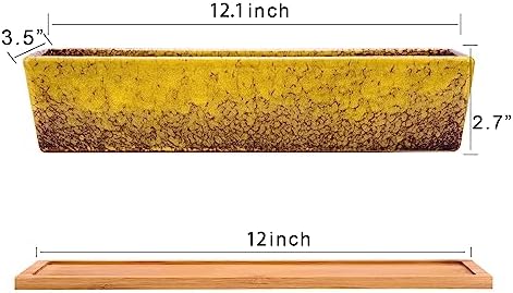 Succulent Pots - 12.1 Inch Large Succulent Planters Pots with Drainage Tray