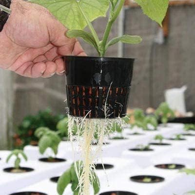 6 Inch Net Cups (12 Pack), Net Pots for Hydroponics, Orchids Mesh Baskets Pots Heavy Duty Hydroponics Supplies with