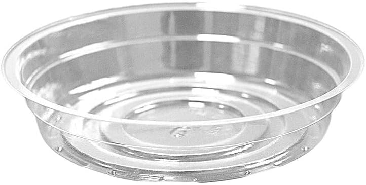 TRUEDAYS 20 Pack 6 Inch Plant Saucers Clear Plant Saucers Flower Pot Plastic Drip Trays Excellent for Indoor & Outdoor Plants