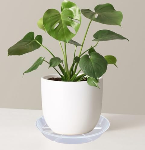 6 Pack Plant Saucers, 8 inch Clear Plant Trays, Durable Round Plastic Flower Plant Water Drip Tray for Pots Planter, Heavy Duty Plant Dish Pant Plate to Catch Water for Indoor & Outdoor