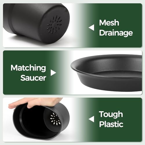 T4U 7.5 Inch Plant Pots 6 Pcs, Flower Pots for Indoor Plants Plastic Pots for Plants with Drainage Holes and Saucer, Planters for Indoor Plants for House Cactus Succulent Black
