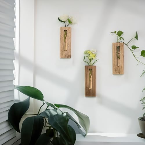 Wood Wall Vase with Glass Tube for Plant Propagation