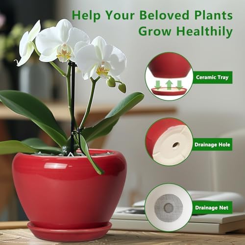 Ceramicfor 10 Inch Plant Pot, Ceramic Planter for Indoor Plants, Glossy Red