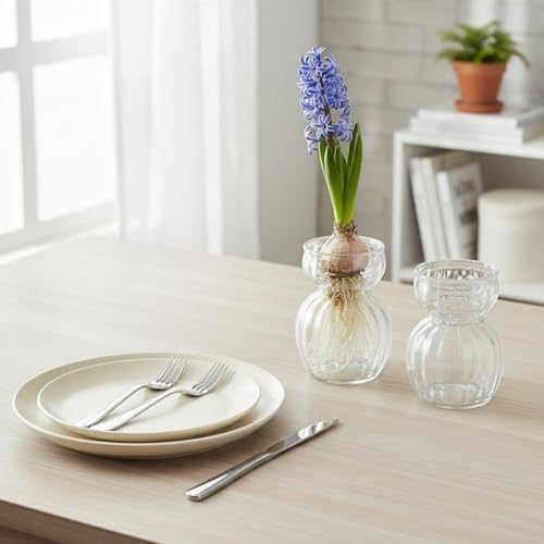 Avocado Hyacinth Bulb Vase 5''(H) Small Vases Table Clear 6pcs Glass