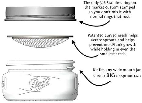 Trellis + Co Stainless Steel Sprouting Kit 4 Pack Rust Proof 316 Stainless | Curved Mesh, Fits Most Wide Mouth Mason