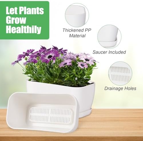 Oliz 6 Set Window Herb Planter Box Rectangular, White Plastic Planters with Multiple Drainage Holes and Trays,Indoor Succulent Cactus Mint Flower Pot for Windowsill, Garden Balcony