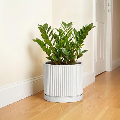 10 Inch Plant Pot, Ceramic Planters, Round Flower Pots, White