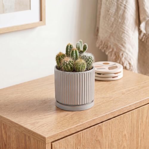 Ceramic Planter, 4 Inch Plant Pots, Round Pots for Plants, Grey
