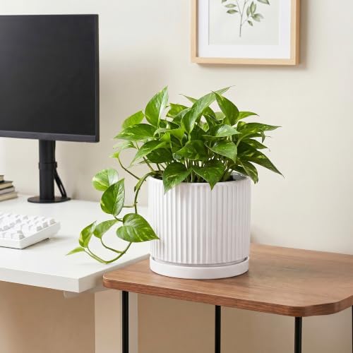 8 Inch Pots for Plants, Ceramic Plant Pots with Saucer, White