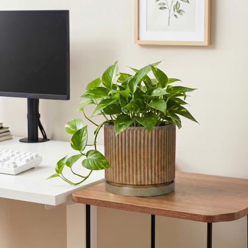 Ceramic Plant Pots, 8 Inch Planter, Round Plant Pot, Retro Brown