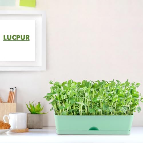 2-Pack Small Window Boxes Planters 16 Inch Rectangle Plant Box Rectangular Planter for Outdoor and Indoor Plants Plastic Windowsill Planter for Herbs Vegetable Flowers Long Window Sill Planters
