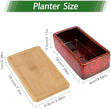 Succulent Pots, 7'' Large Long Rectangle Planters with Drainage Tray
