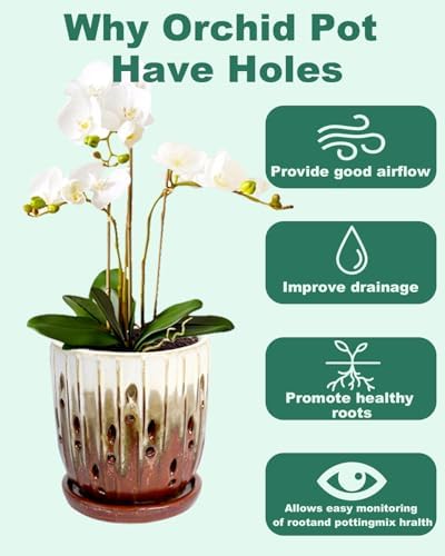 vensovo 6 Inch Ceramic Orchid Pot with Holes and Saucer, Brown Planter