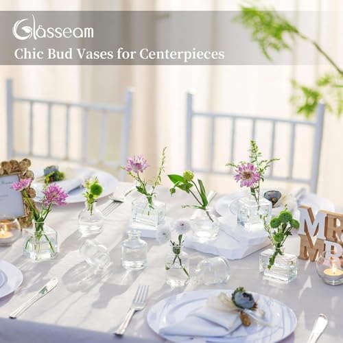 Glasseam Small Vases for Flowers, Clear Mini Glass Bud Vases Set of 5