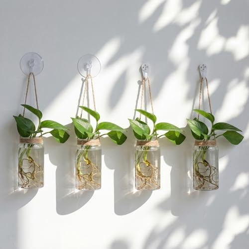 Baderke 9 Set Window Hanging Propagation Stations 3.54'' Plastic Vases