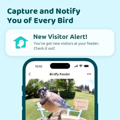 NETVUE by Birdfy Smart Bird Feeder with AI Camera, Auto Capture Videos & Live Steam, Wireless Wildbird Watching, Outdoor Backyard Birder(AI by Subscription) Yellow