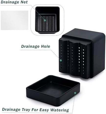 D'vine Dev Plastic Herb Planter Pot, 6 in, Black, 76-Y-B1-2