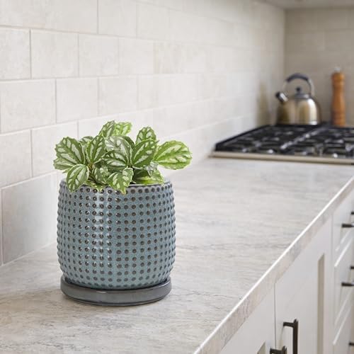 D'vine Dev Beaded Ceramic Pot with Saucer, 4 in, Graphite Blue, 27-C-Z-9