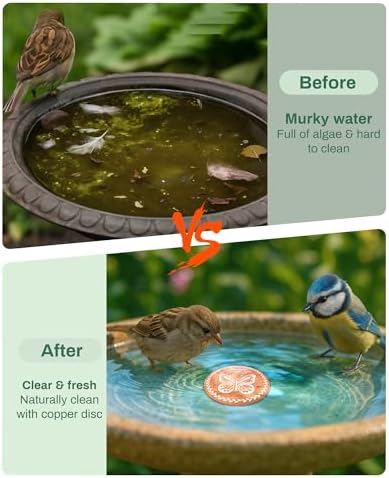 OICEME Bird Bath Purification Disk Pure Copper Outside Winter Solar Power Birdbath Wild Hummingbird Feeder Pedestal Fountain Cleaner Cage Dispenser Bowl Ground Safe Garden Gift Bird Butterfly