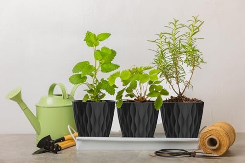 4 Inch Plant Pots, 6 Pack Indoor Flower Pots, Planters with Drainage Holes and Trays for Orchids, Violets, Succulents, Herbs, and Other Plants, Black