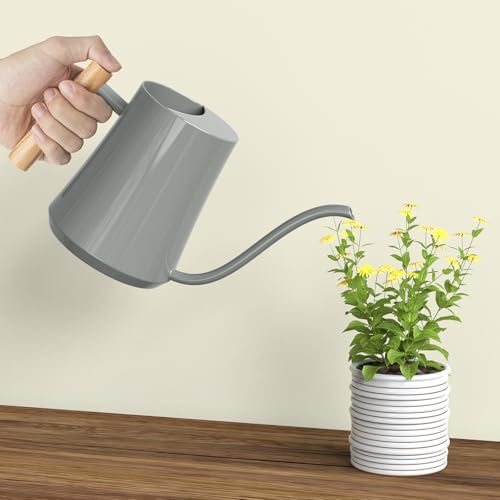 Green Moon 1L/35oz Metal Watering Can Indoor with Long Spout, Gray