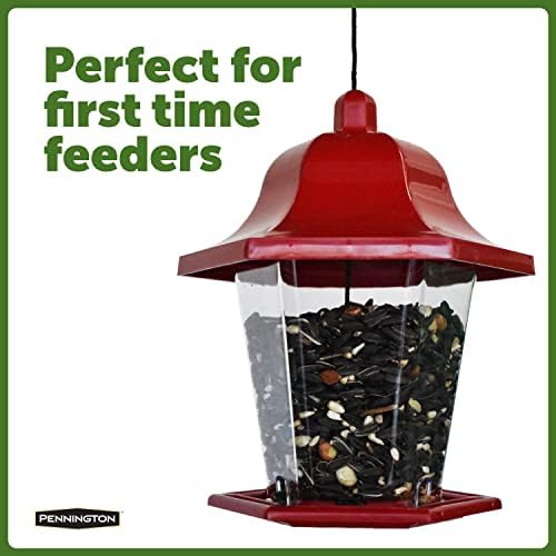 Pennington Songbird Lantern Bird Feeder, Ideal for Small Birds
