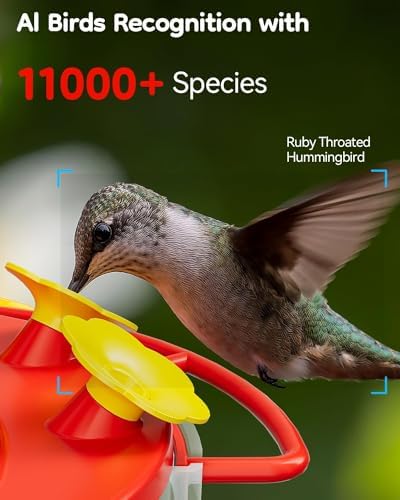 Solar Hummingbird Feeder with Camera for Outdoors, 2K Smart AI Video