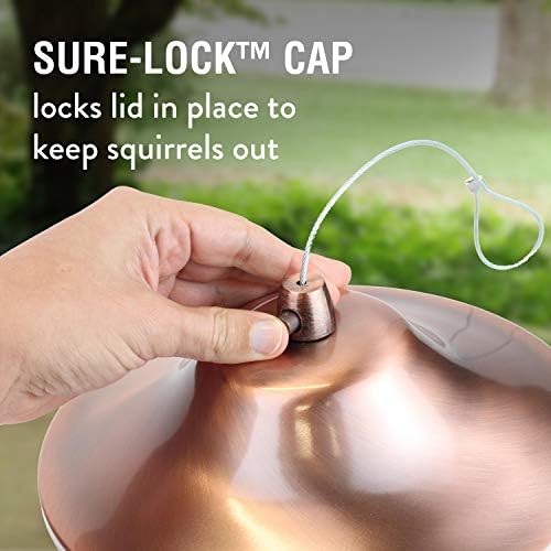 Perky-Pet 517282 Copper Panorama Bird Feeder 312C, 1 Tier