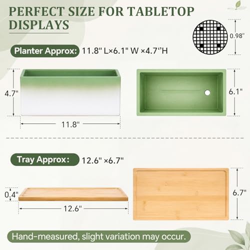 12 Inch Rectangular Ceramic Shallow Succulent Planter with Tray, Green