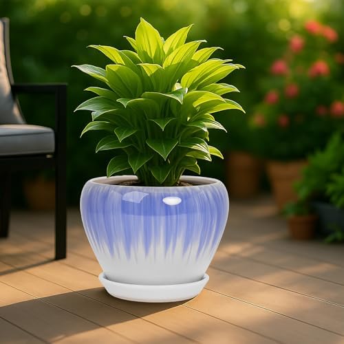 Deep Dream 10 Inch Plant Pot- Ceramic Planter Pot Round Plant Pots for Indoor Plants Outdoor Large Flower Pot with Drainage Holes & Trays, White&Blue