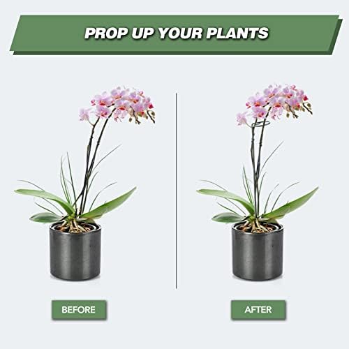 12 Pack 24 Inch Plant Support Stakes for Outdoor Plants and Indoor Flowers