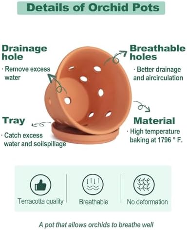 vensovo 6 Inch Terracotta Orchid Pots with Holes and Saucers - 3 Pack Clay Orchid Planter Pots for Repotting, Breathable Flower Pots for Indoor Outdoor, Promotes Air Circulation & Healthy Roots