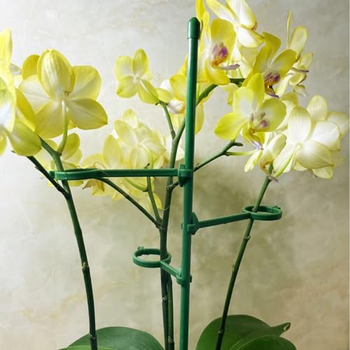 20 Set Plant Stakes 12 inch Extendable Plant Support Stakes with Adjustable Clips Rings, Flower Stem Plant Support Sticks for Indoor Outdoor Plants Stabilizer Garden Sticks for Orchid Rose Tomato