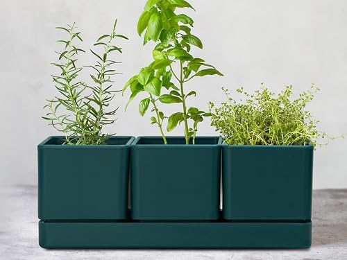 D'vine Dev Plastic Herb Garden Planter Set, Green, 76-V-C-1