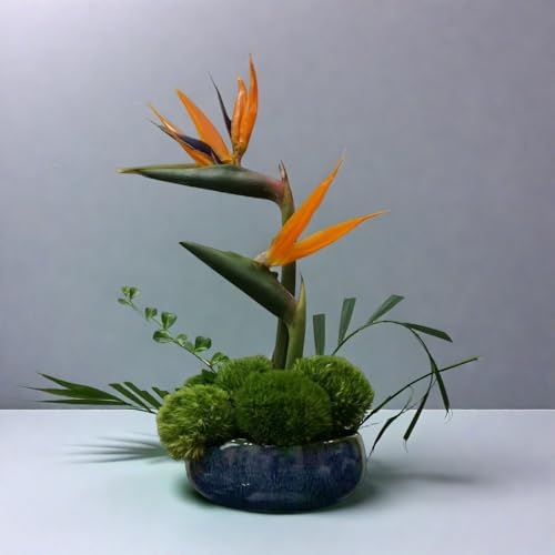 Ikebana Kit, Bowl, with 1.8in Floral Frog