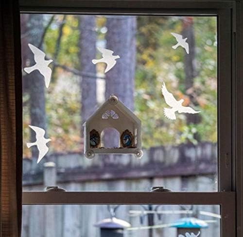 Anti Collision Window Bird Stickers Decals Glass Door Protect and Save Bird Strikes (Transparent 36 Pcs)