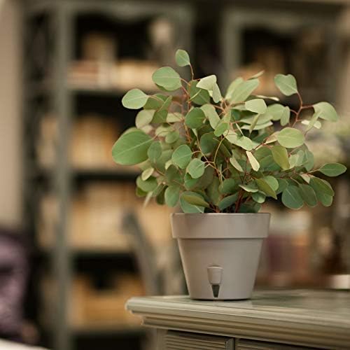 Pack of 3 - Self Watering Planter - Height 9.2 inches - Flower Pot with Bottom Watering Level Indicator for All House