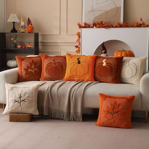 Allorry Fall Pillow Covers 16x16 2 Pack Orange Pumpkin Home Decor PT010B16